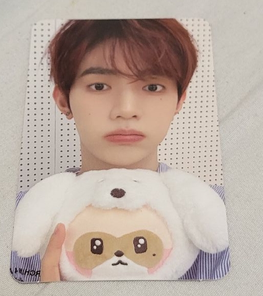 ZB1 章昊 zeroni FW 滿額卡 