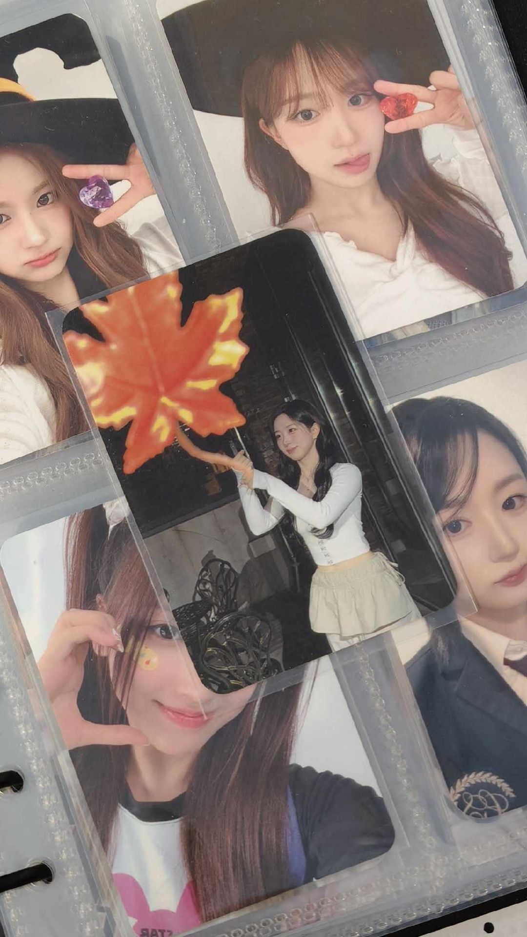 STICK OUT mmt 4.0 簽售卡 楓葉