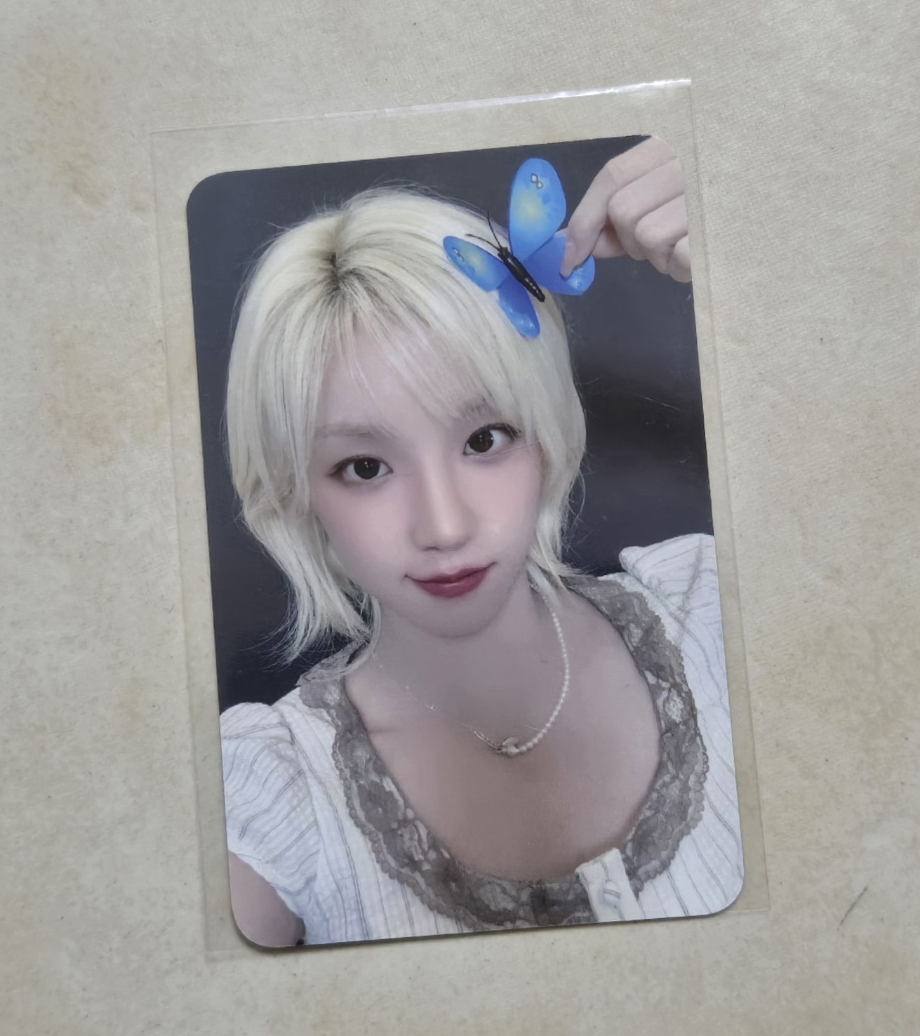 ny 5.0簽售卡 蝴蝶琦