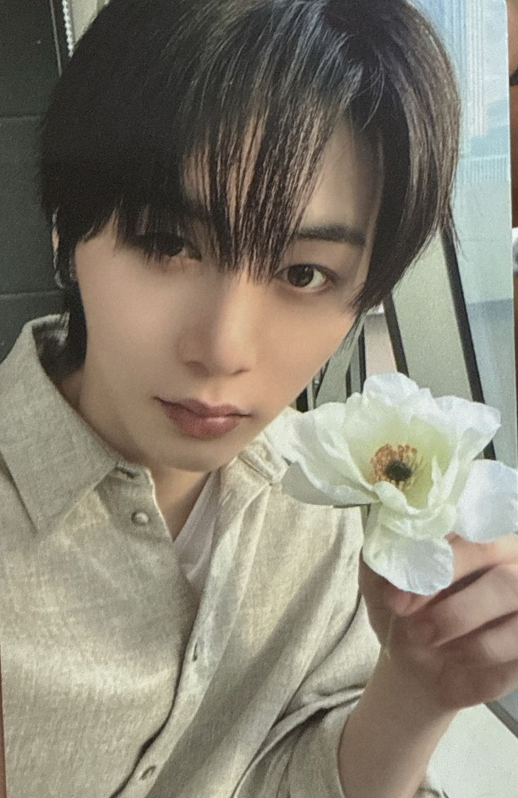 The Action wvs 特典卡 