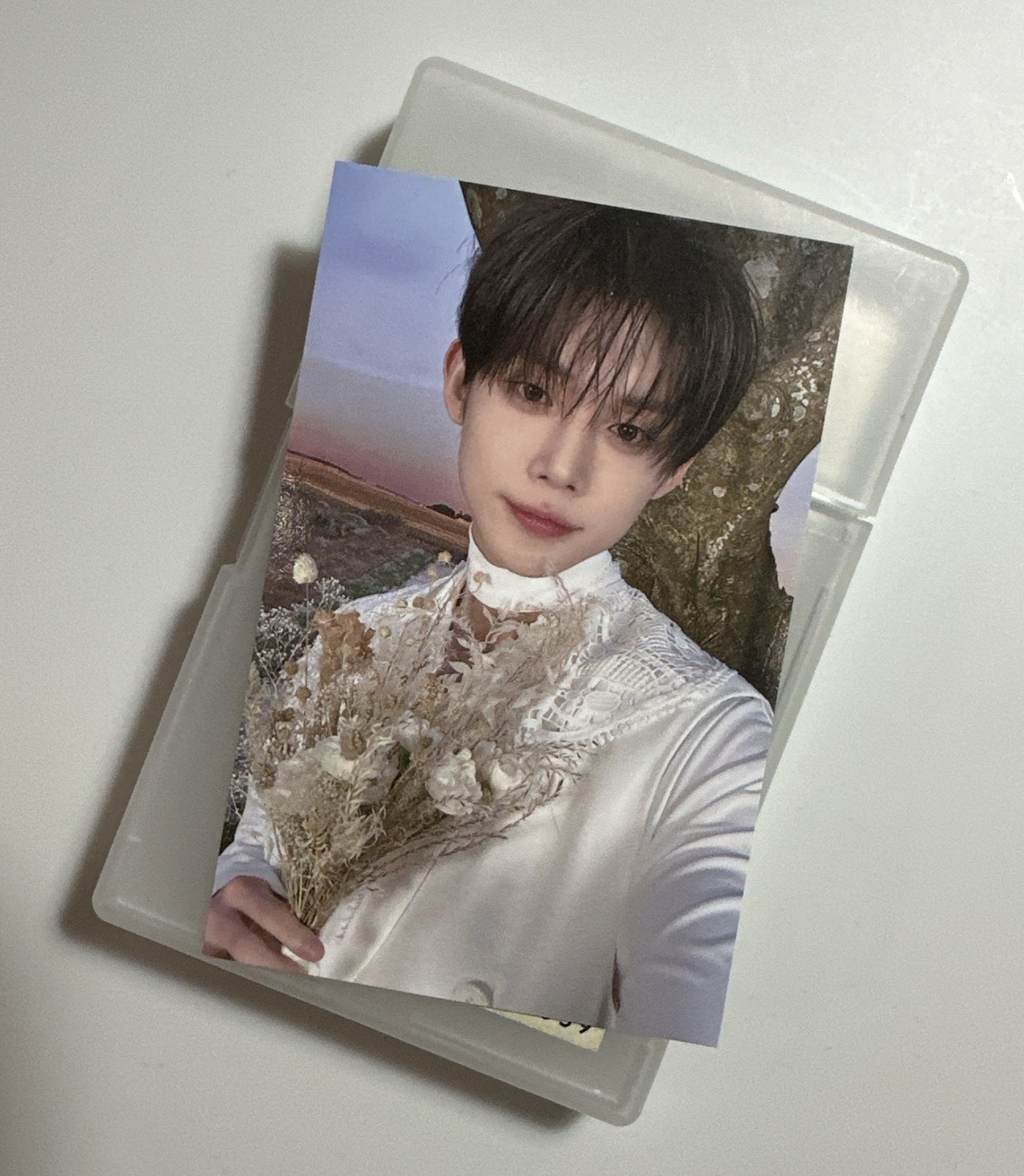 24’巡迴 入場卡 / 場限卡 moa zone 粽卡 zone卡