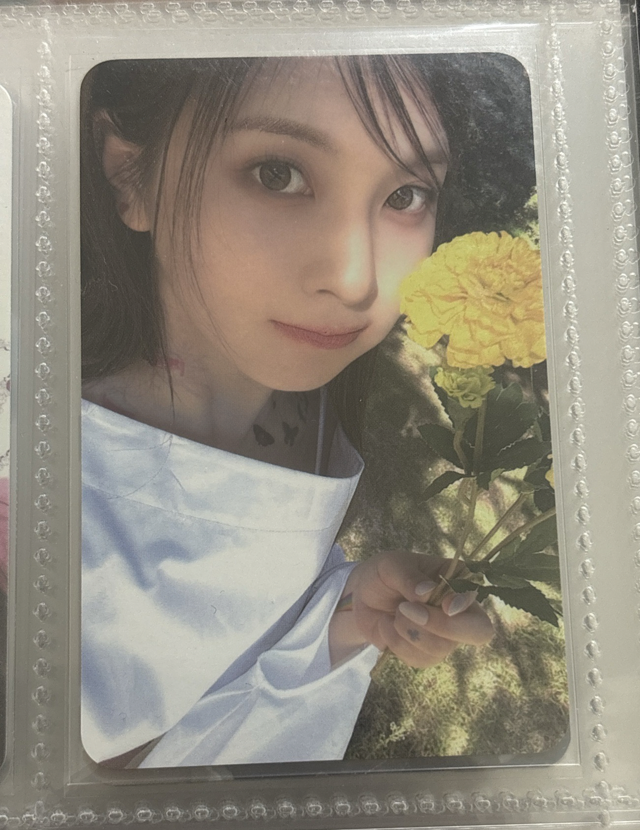 蜜蜂小狗表情 裴真率小卡