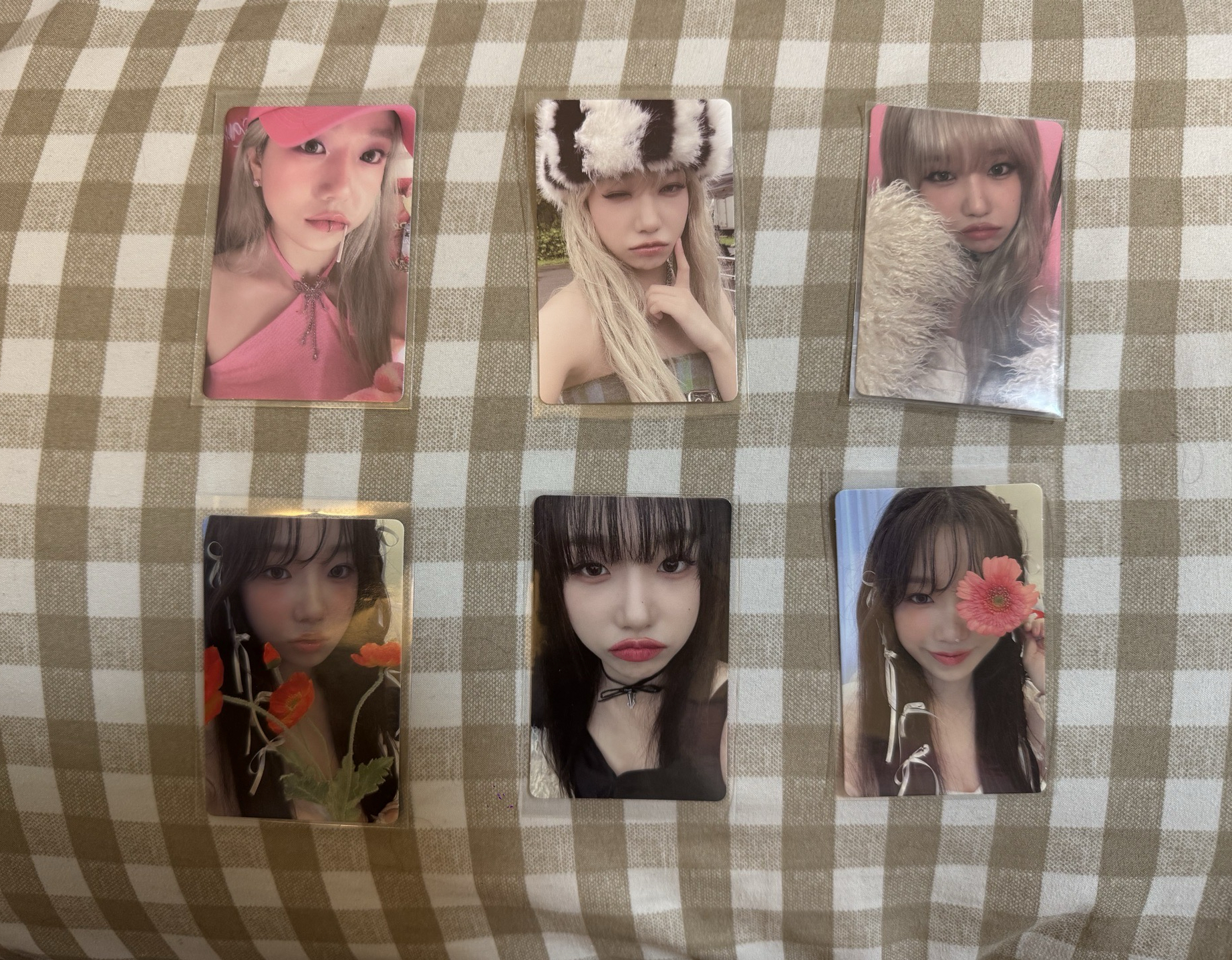 曹柔理 love all專卡 駕照