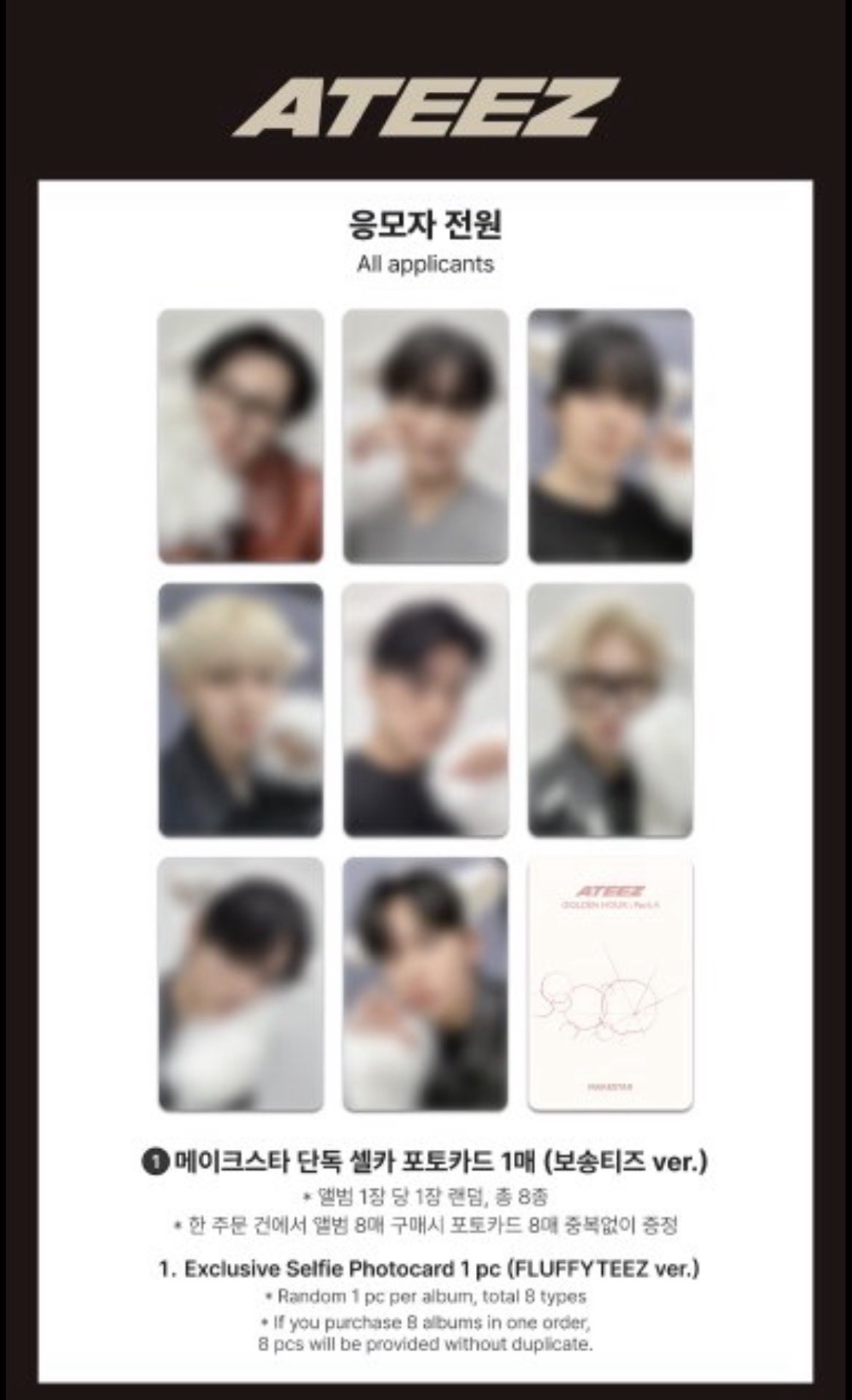 🪜 MS5.0 毛毛梯（單人含專）