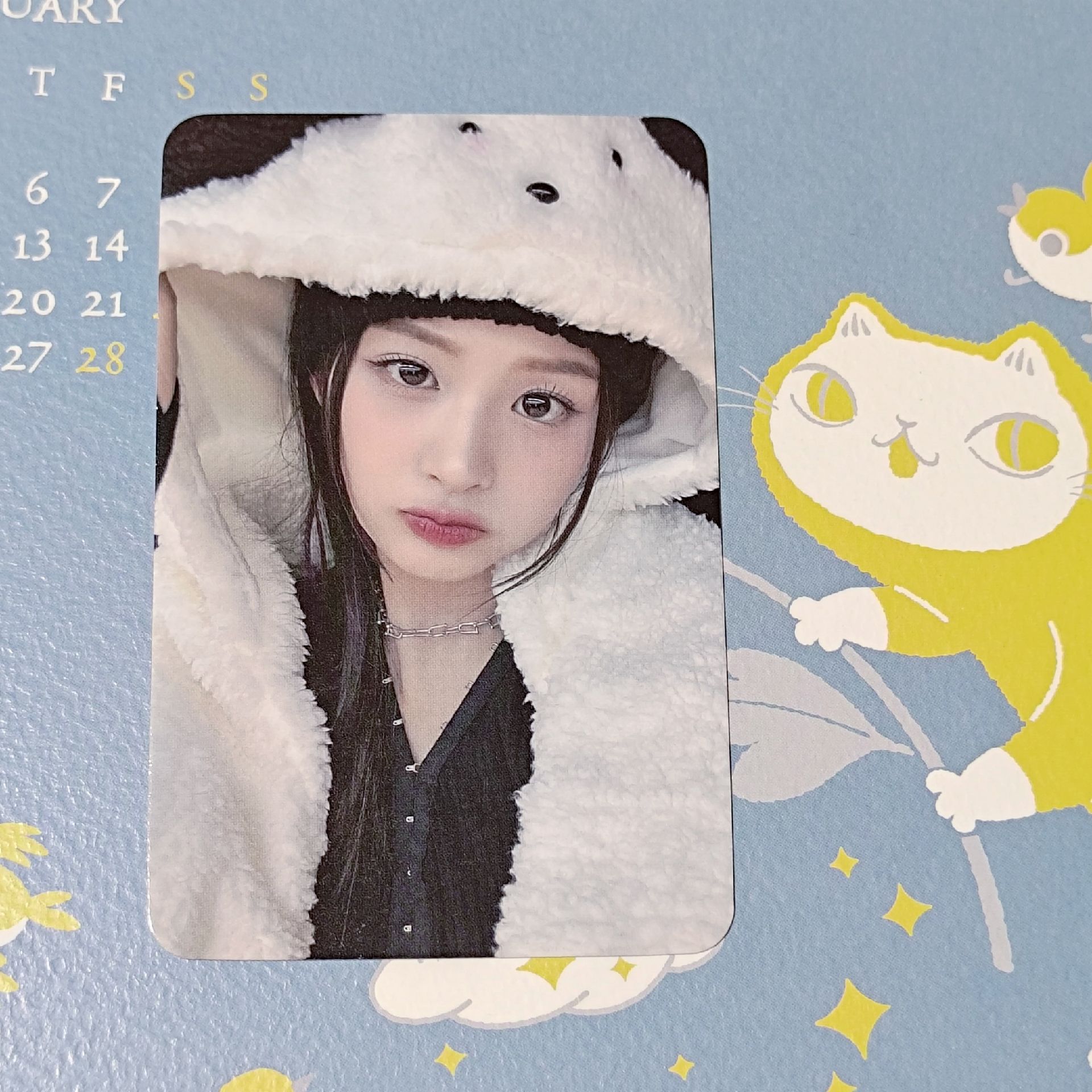 小狗毛毯薛（可單出）