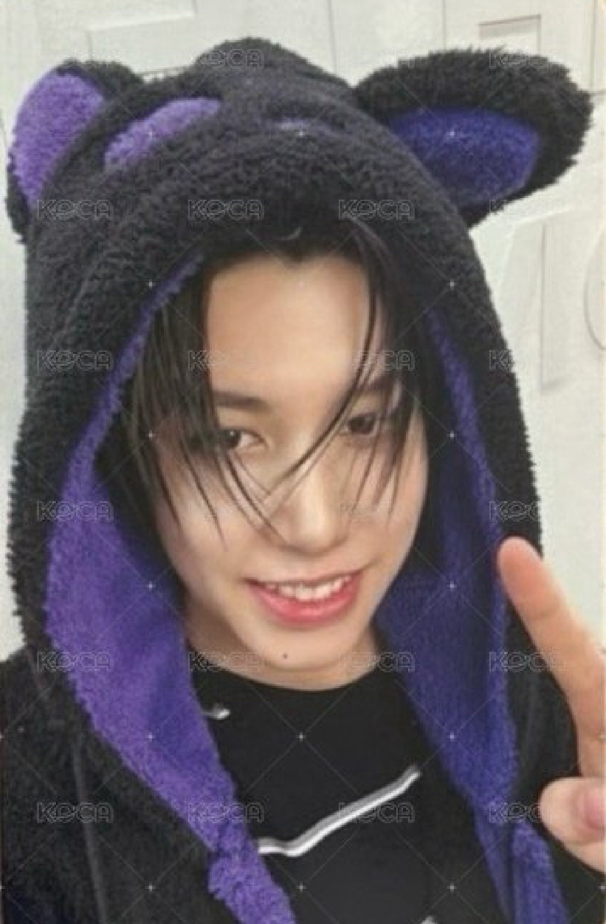 黑貓路易含未拆專