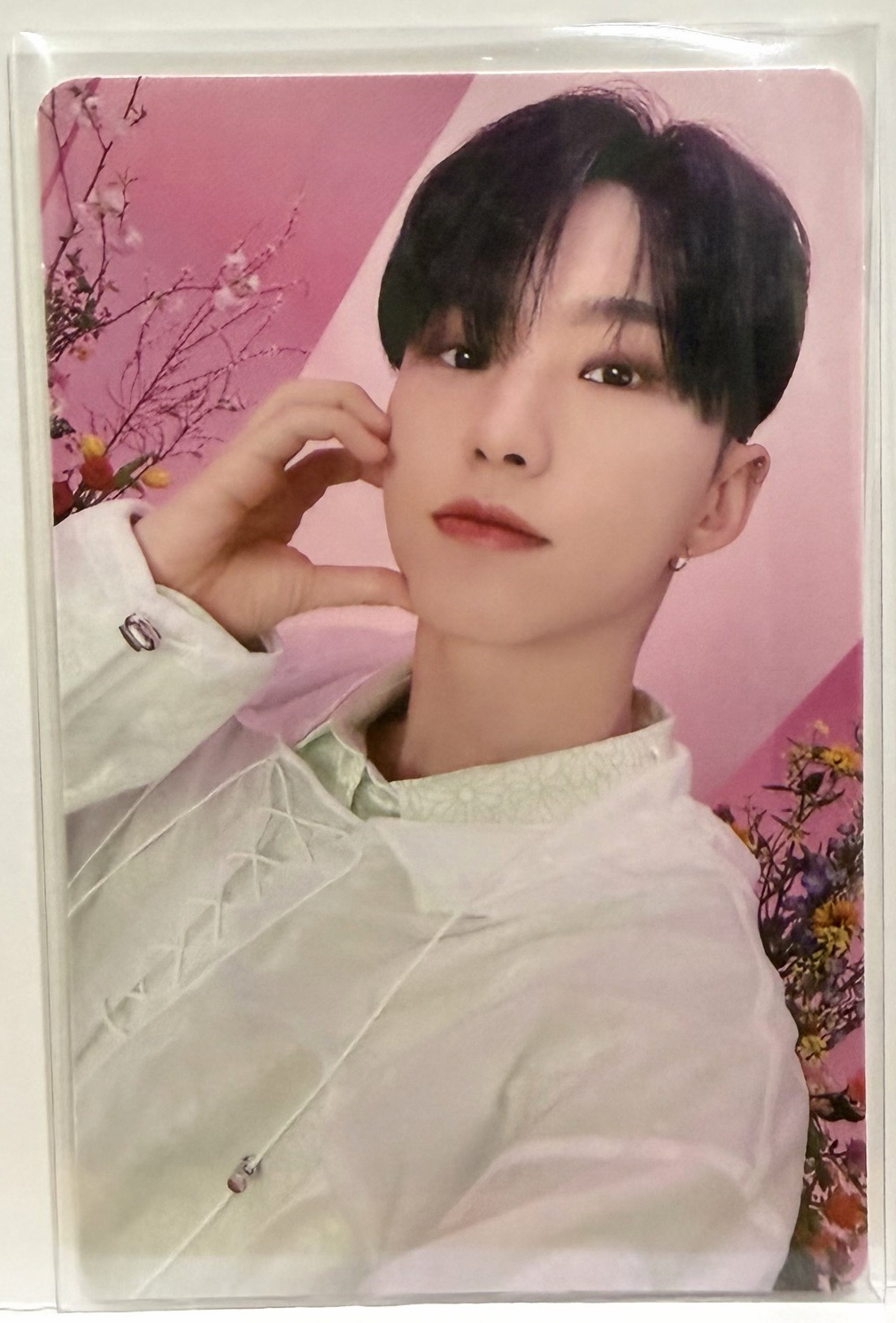 Seventeen小卡-Hoshi