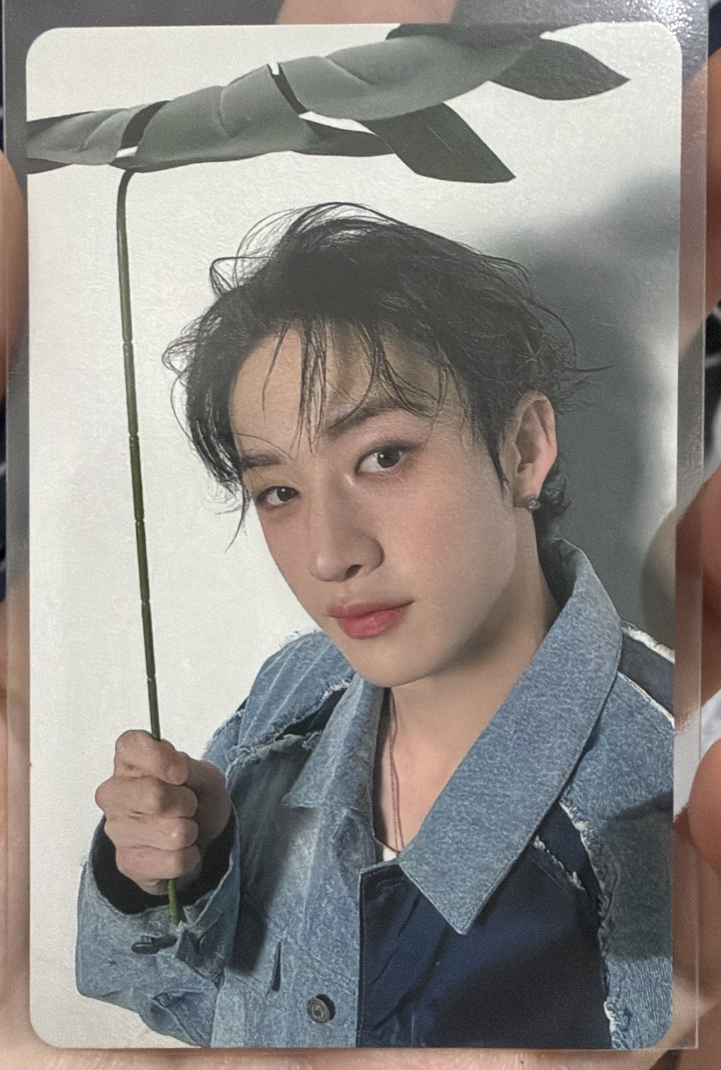 hollow 靜岡11號場限