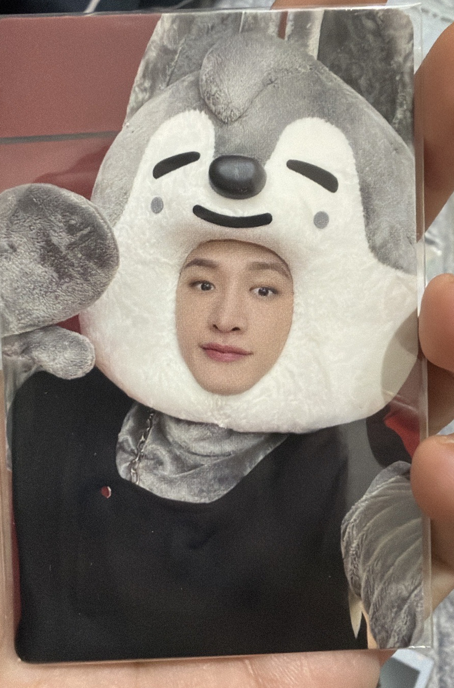 maxident jyp shop 燦