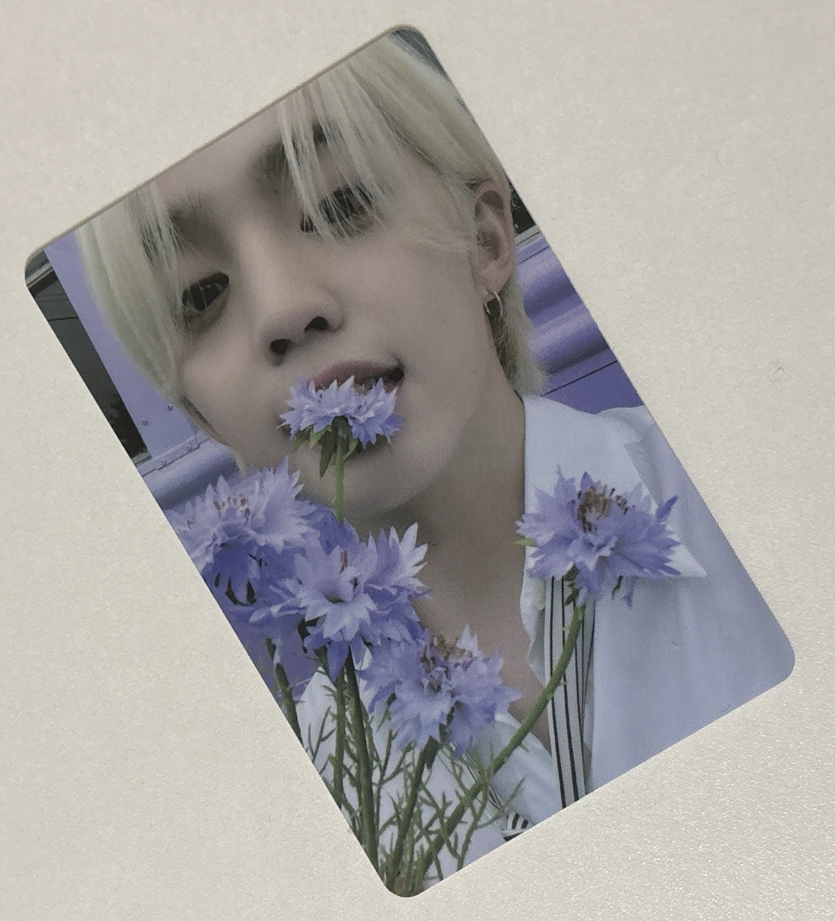 迷8釜山2.0紫花喆