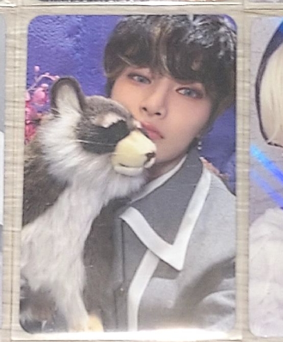 寅四期飯咪入場卡