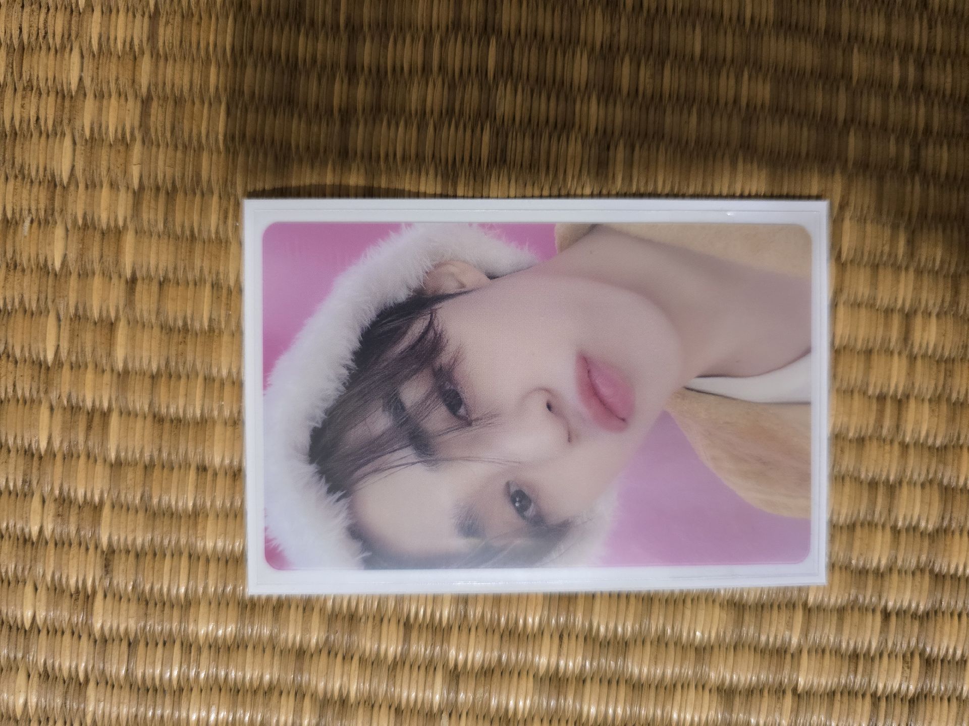 DREAM wvsJP 哲 特典卡