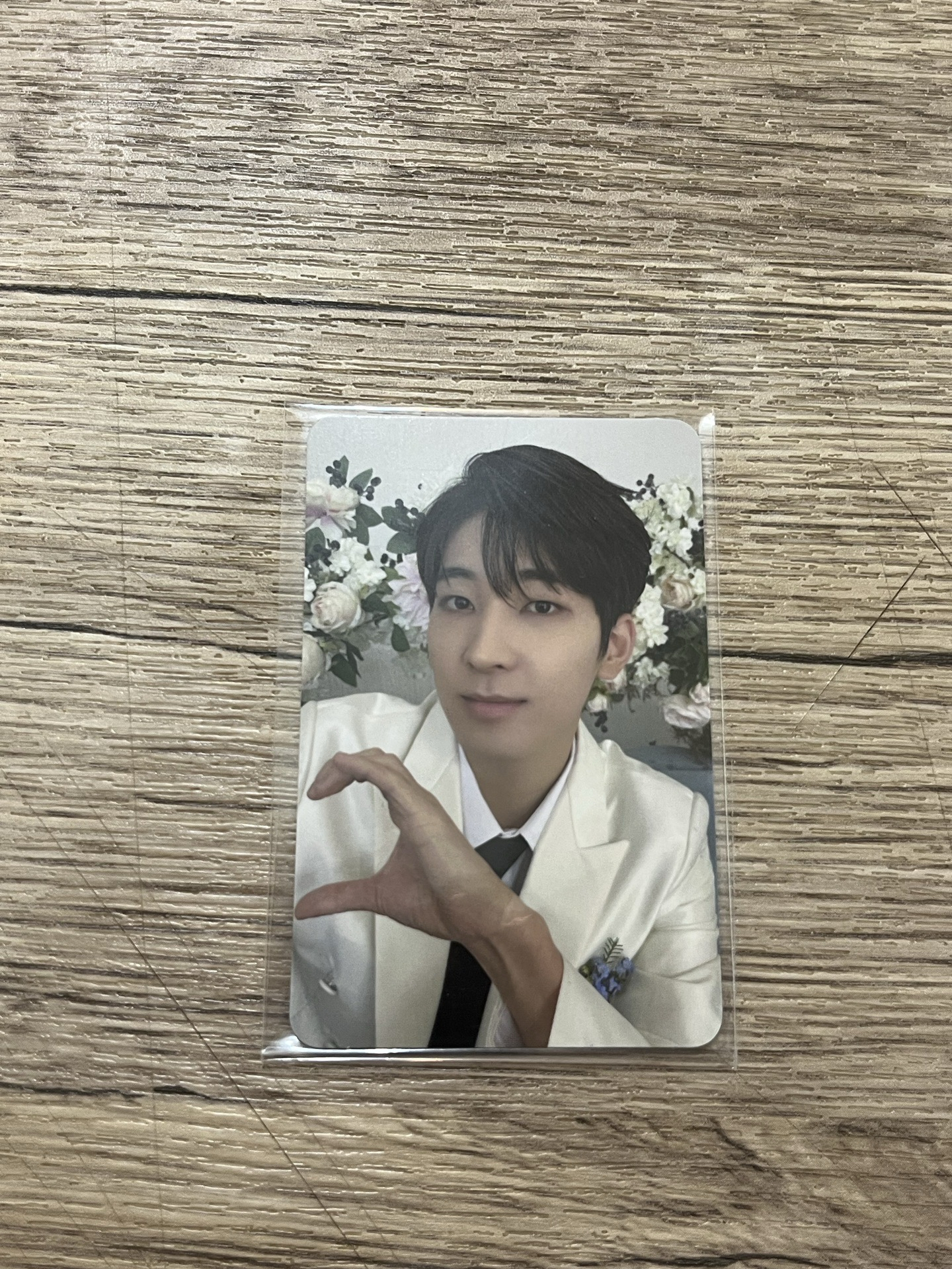 Seventeen 歷年專卡-圓（裡面有不同的卡面）