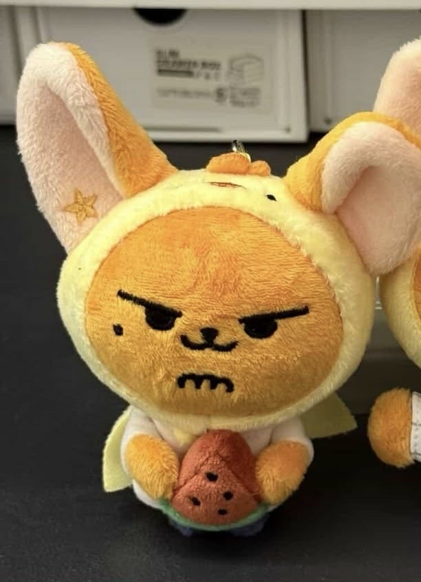 西瓜春（綁物請看說明）