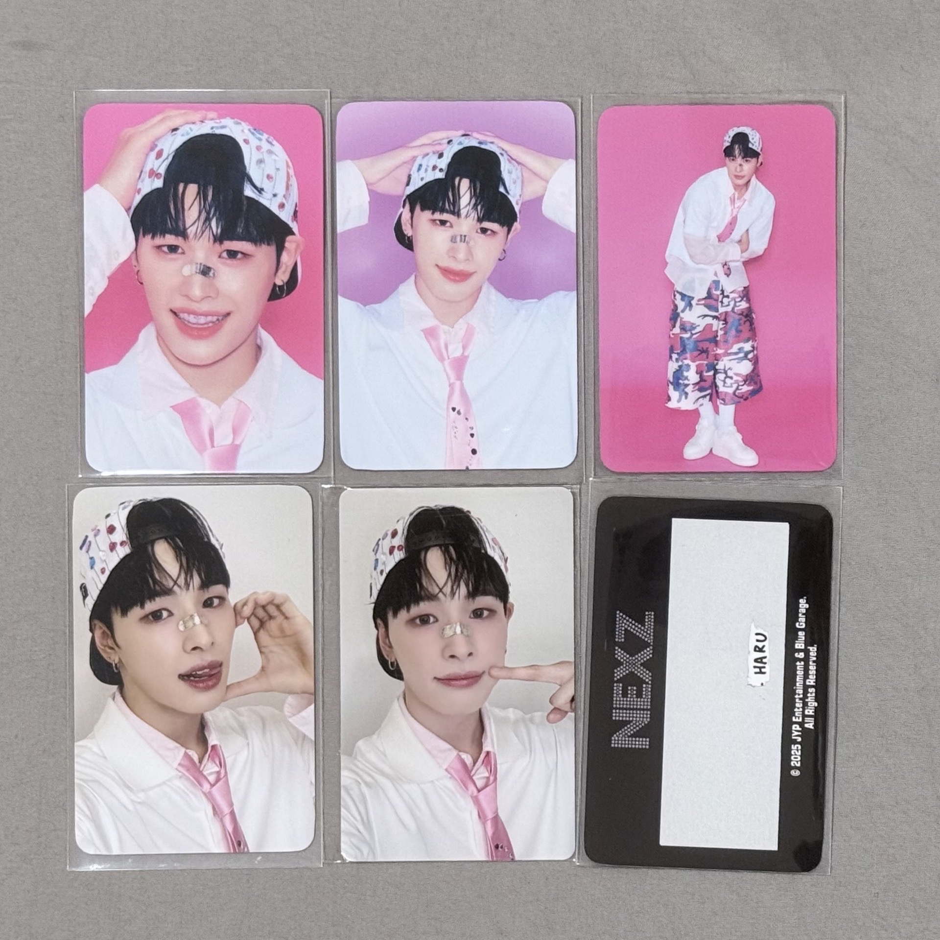 HARU 特別控卡包卡 整圖出