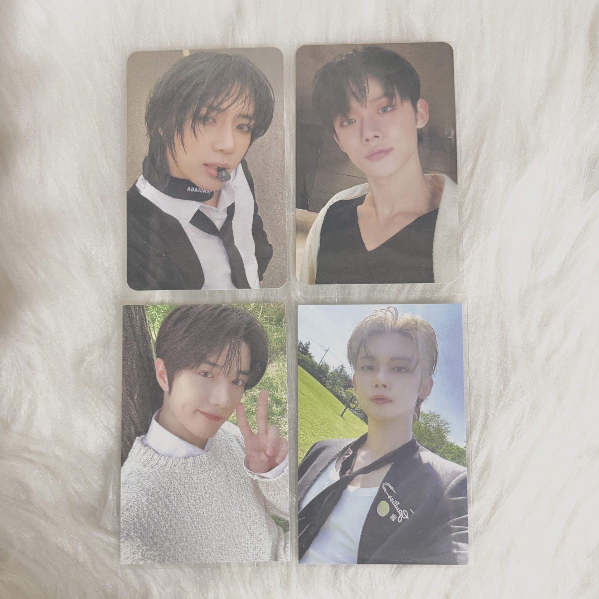 台北場粽卡 / 專輯小卡 （可單收）