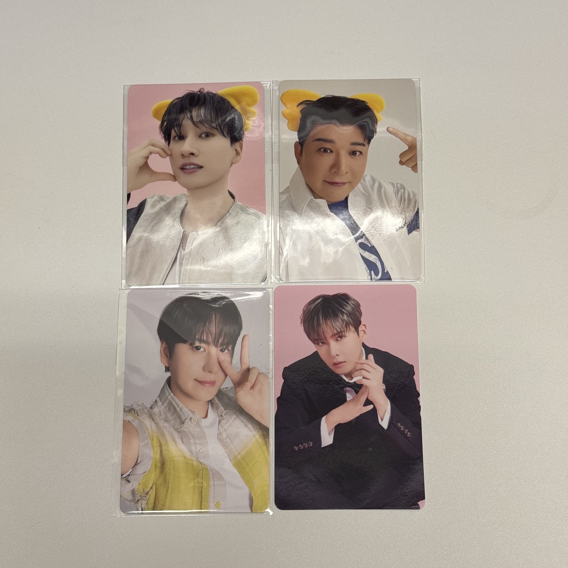 ［合售］ SUPER JUNIOR SUPER SHOW 10 日本場周邊 小熊餅乾卡+線下滿額卡