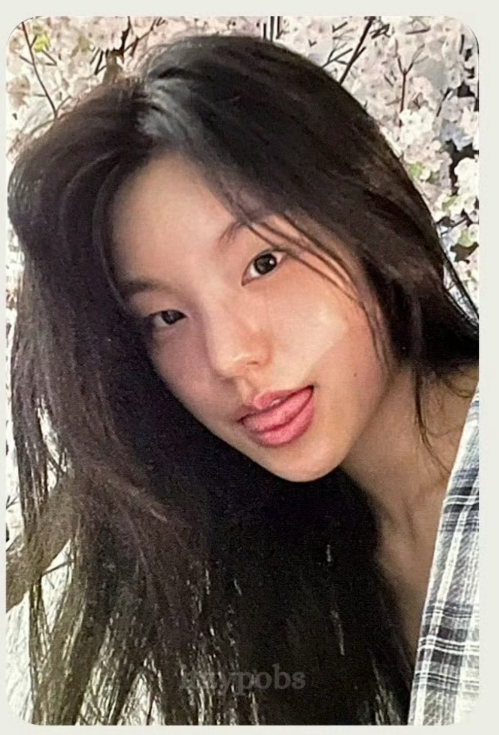 GOLD 第一週打歌卡