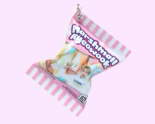 SUPER JUNIOR SJ MARKET 厲旭零食吊飾