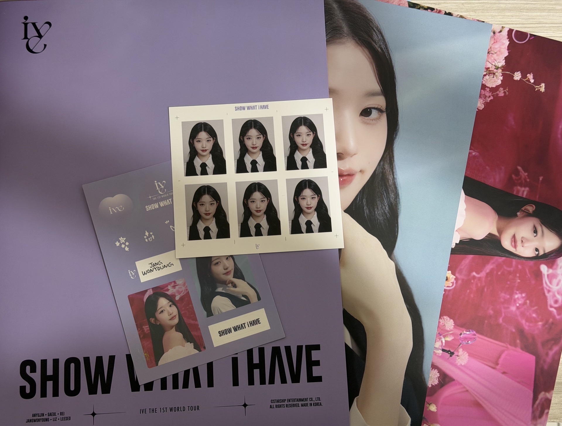 SHOW WHAT I HAVE 員瑛證件照 貼紙 照片組