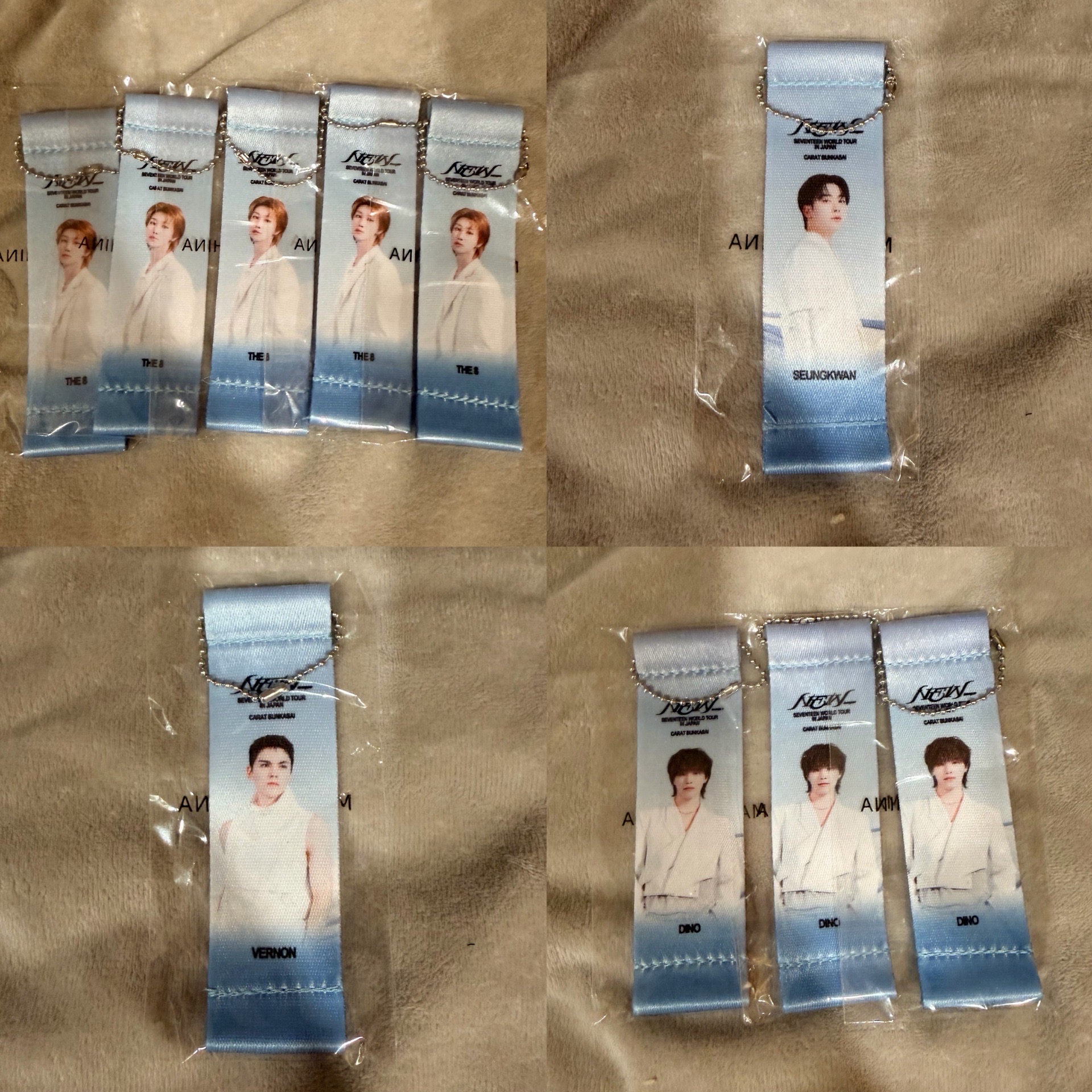 SEVENTEEN NEW_日巡旗幟吊飾扭蛋 八寛率燦