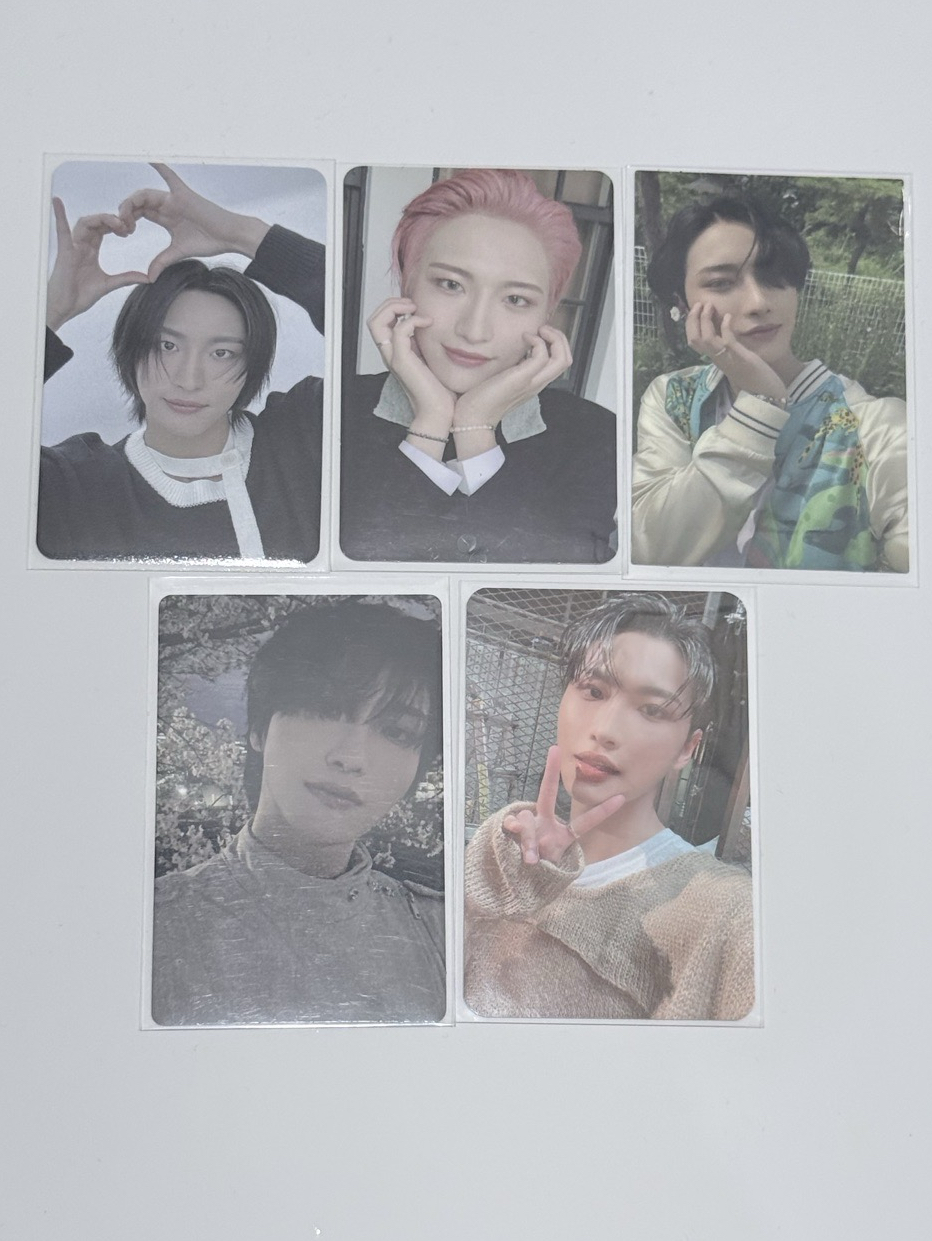 🩵朴星化｜人比花嬌