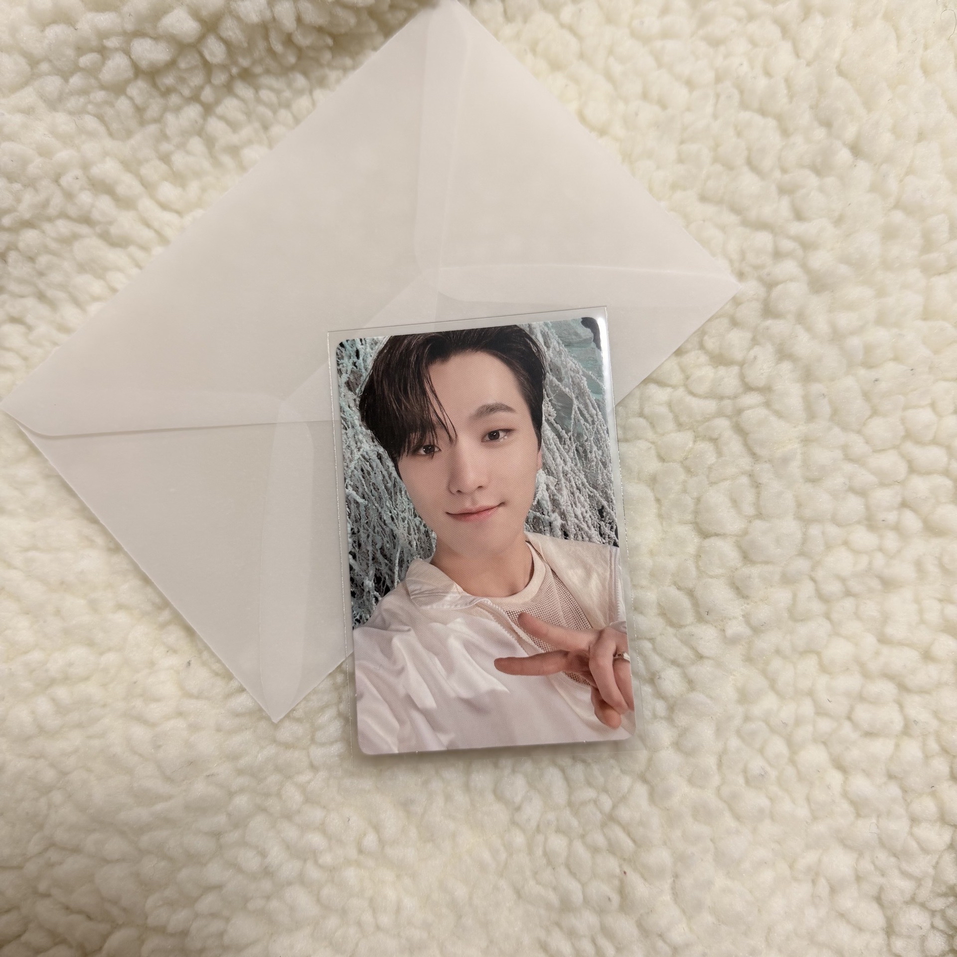 DINO｜正四後續專卡