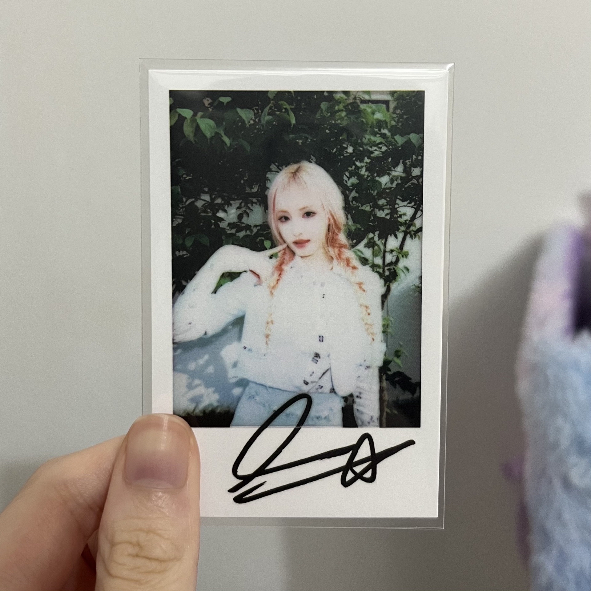 勢界雜誌拍立得栗