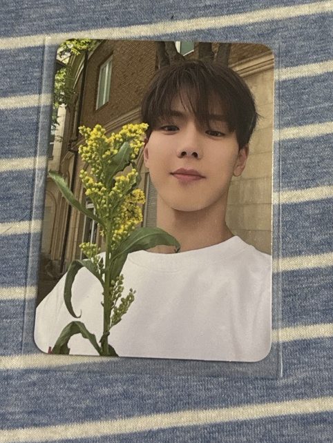 shownu THE X "XX" 專輯卡 