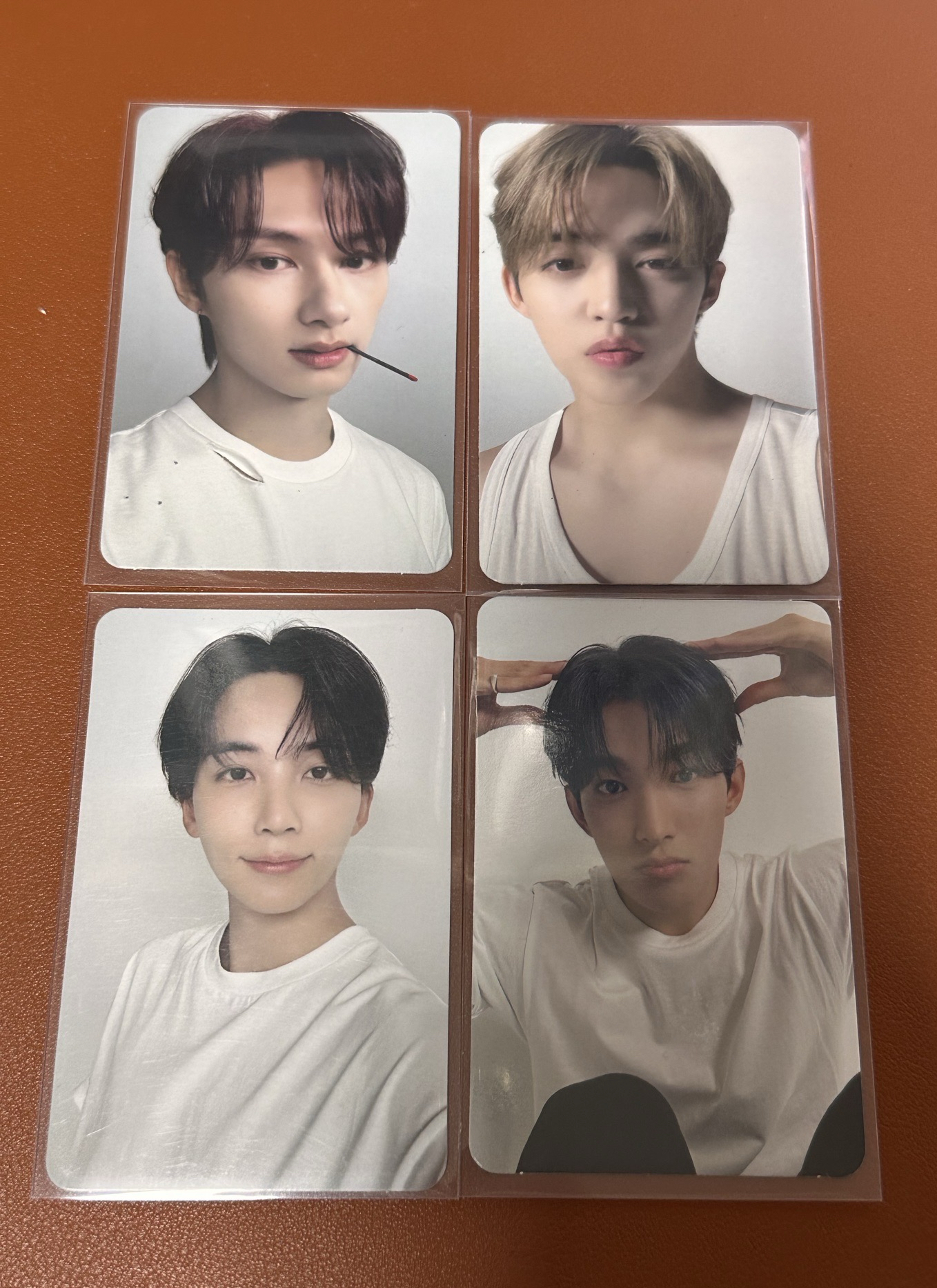 親愛盤 整圖直出 小狗碩