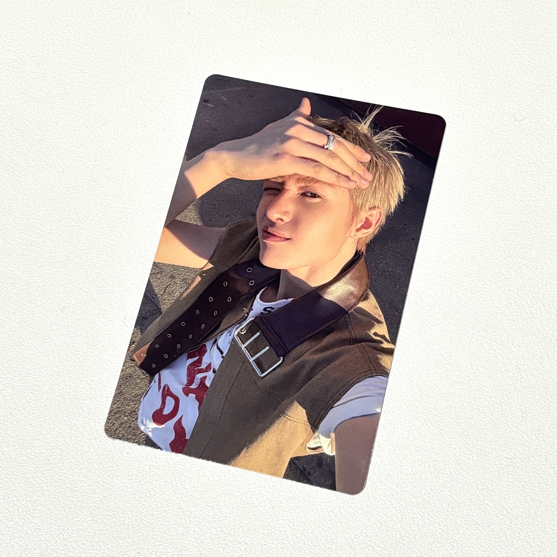 馬丁tinny🐕‍🦺