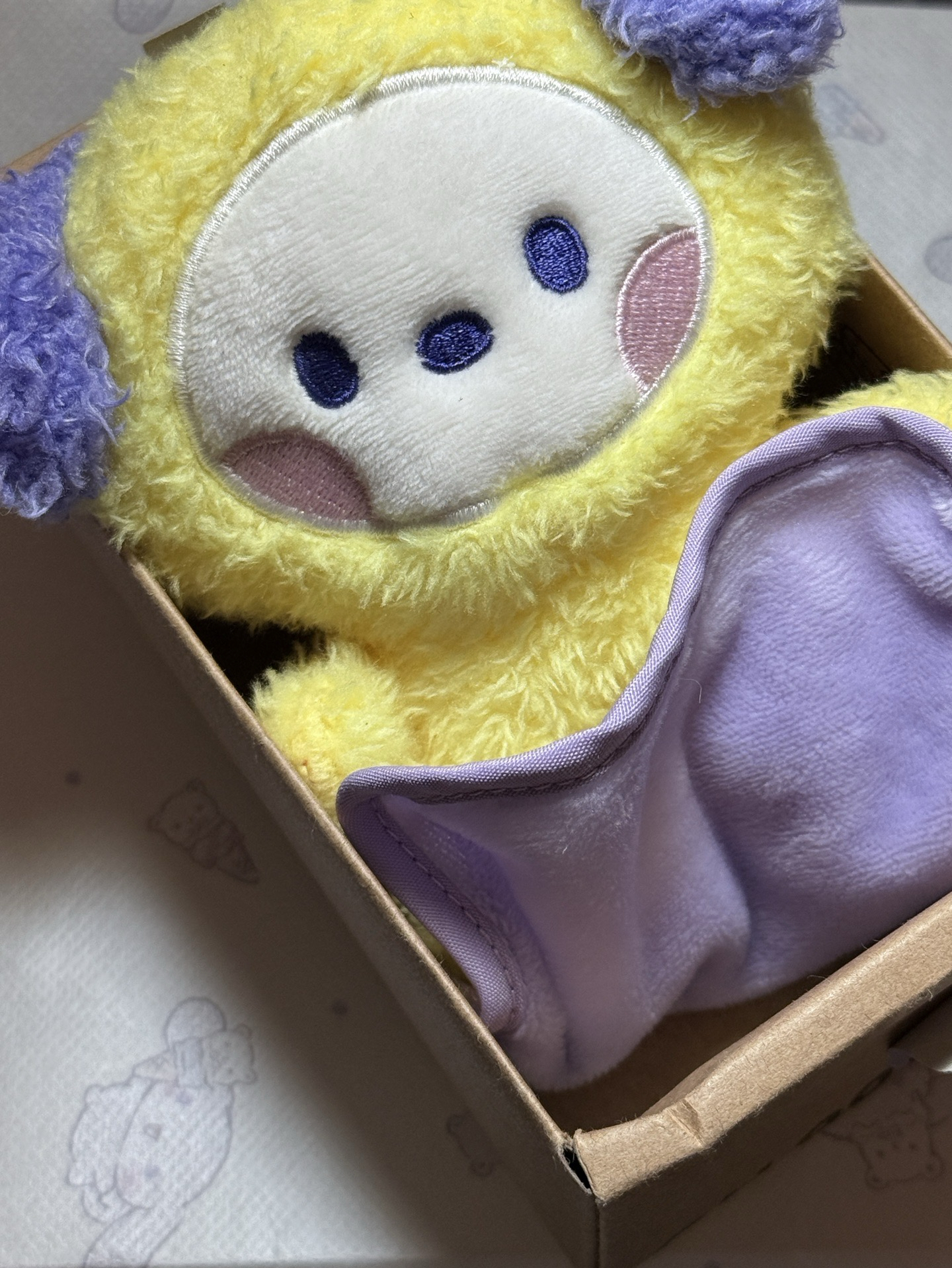 用布布包好chimmy bts minini 朴智旻