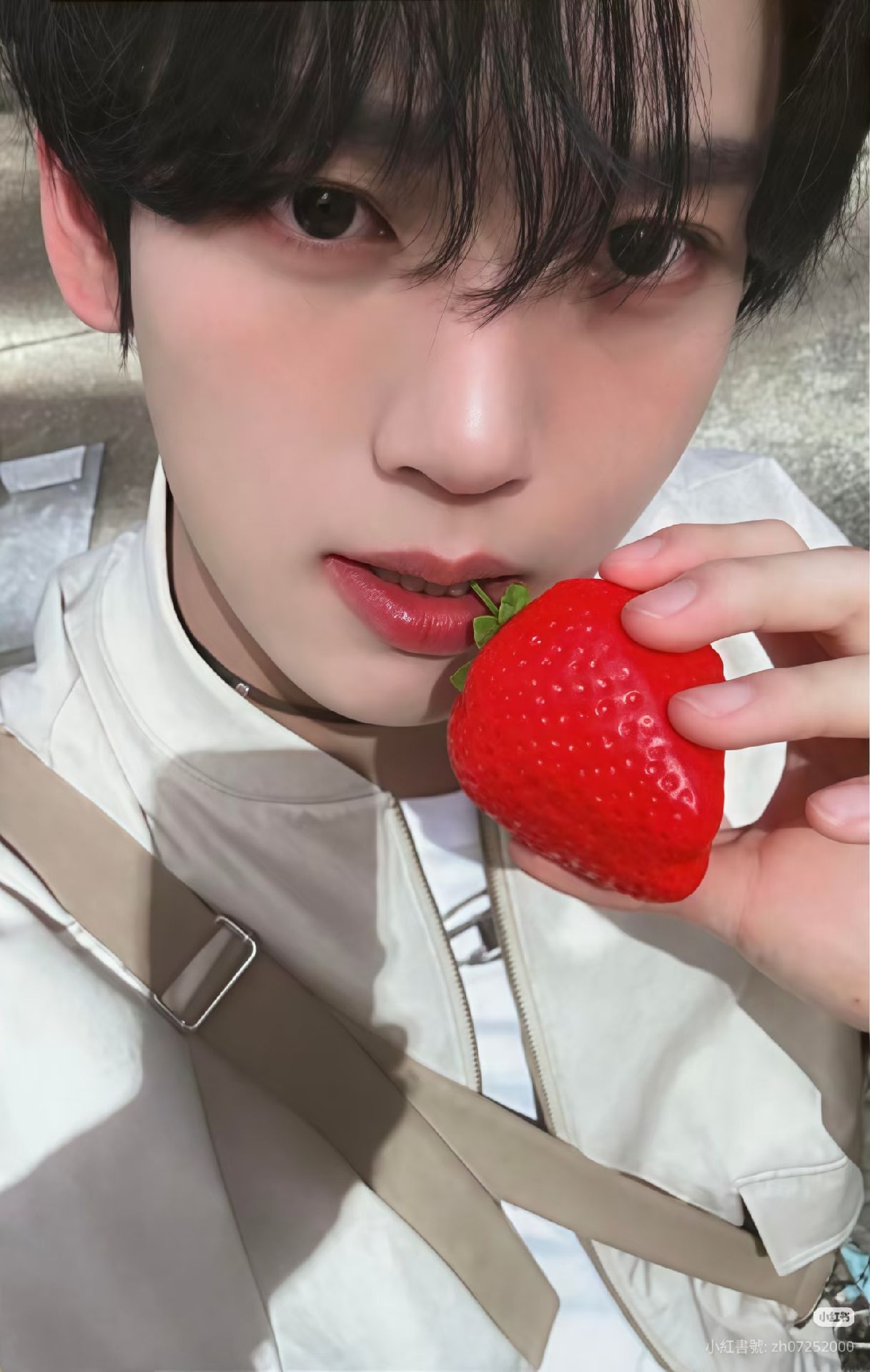 草莓辰（非現）