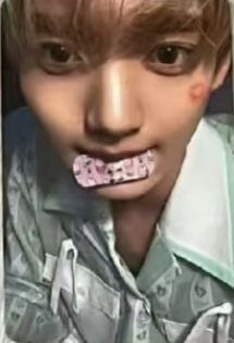 ⭐動物創可貼（非現）