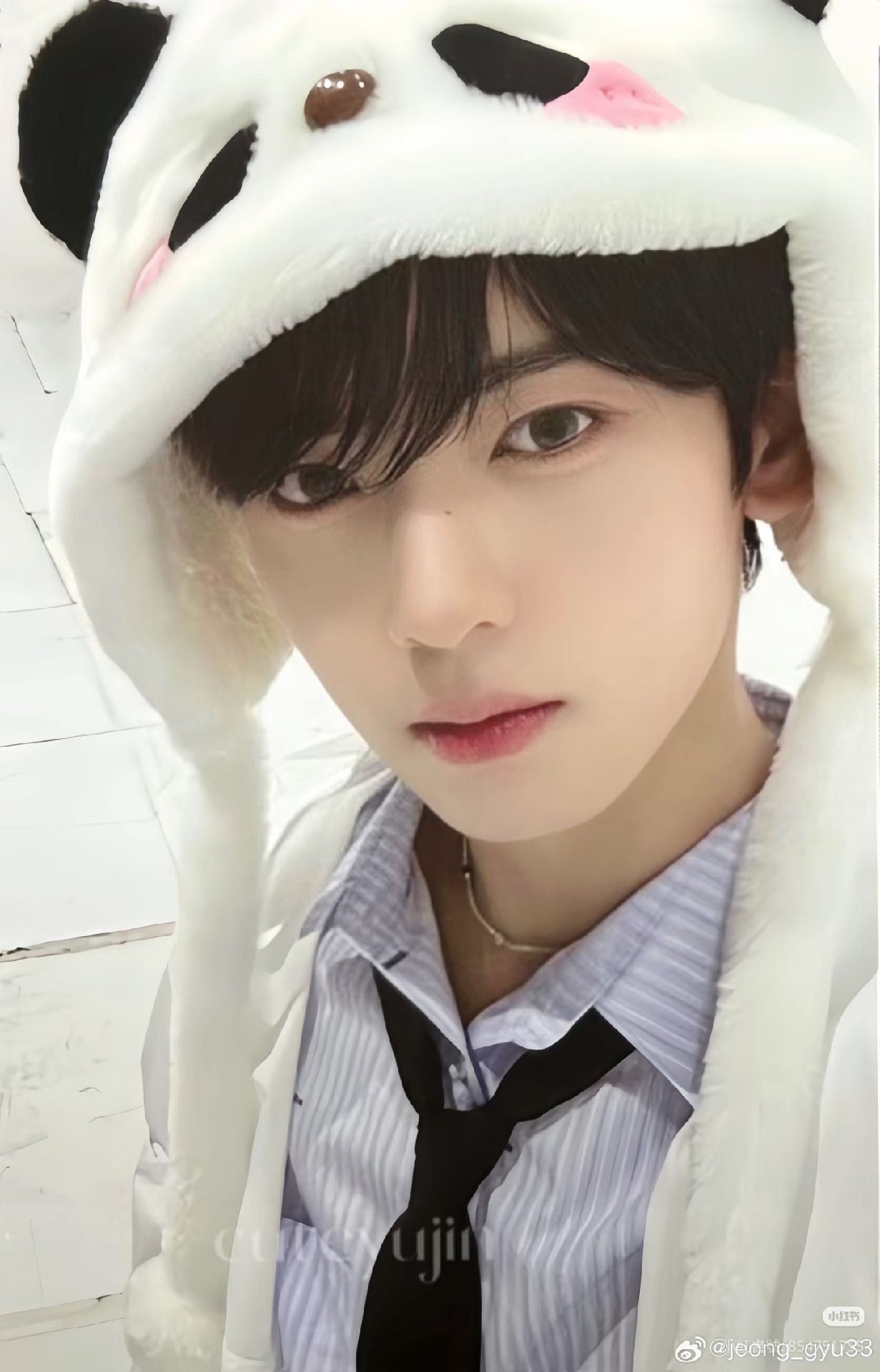 熊貓辰（非現）