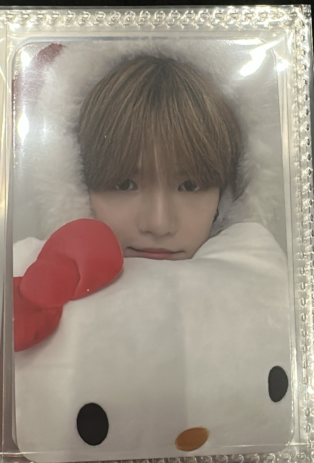 哇勒個萌萌啓賢小貓