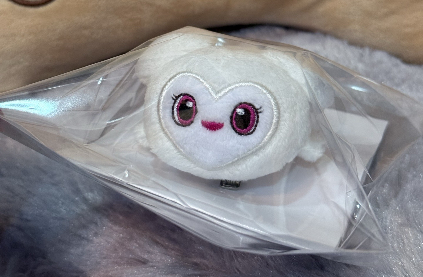 多賢髮夾 五巡 趴趴髮夾 全新原袋有標