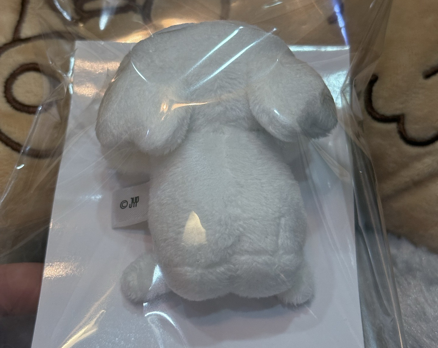 多賢髮夾 五巡 趴趴髮夾 全新原袋有標