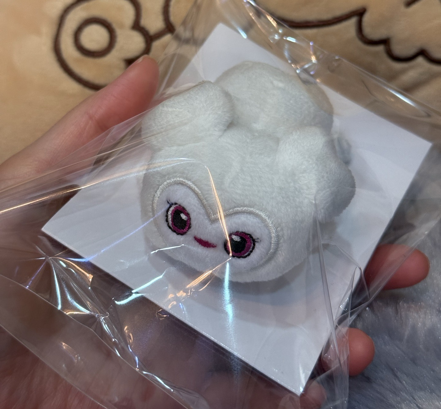 多賢髮夾 五巡 趴趴髮夾 全新原袋有標