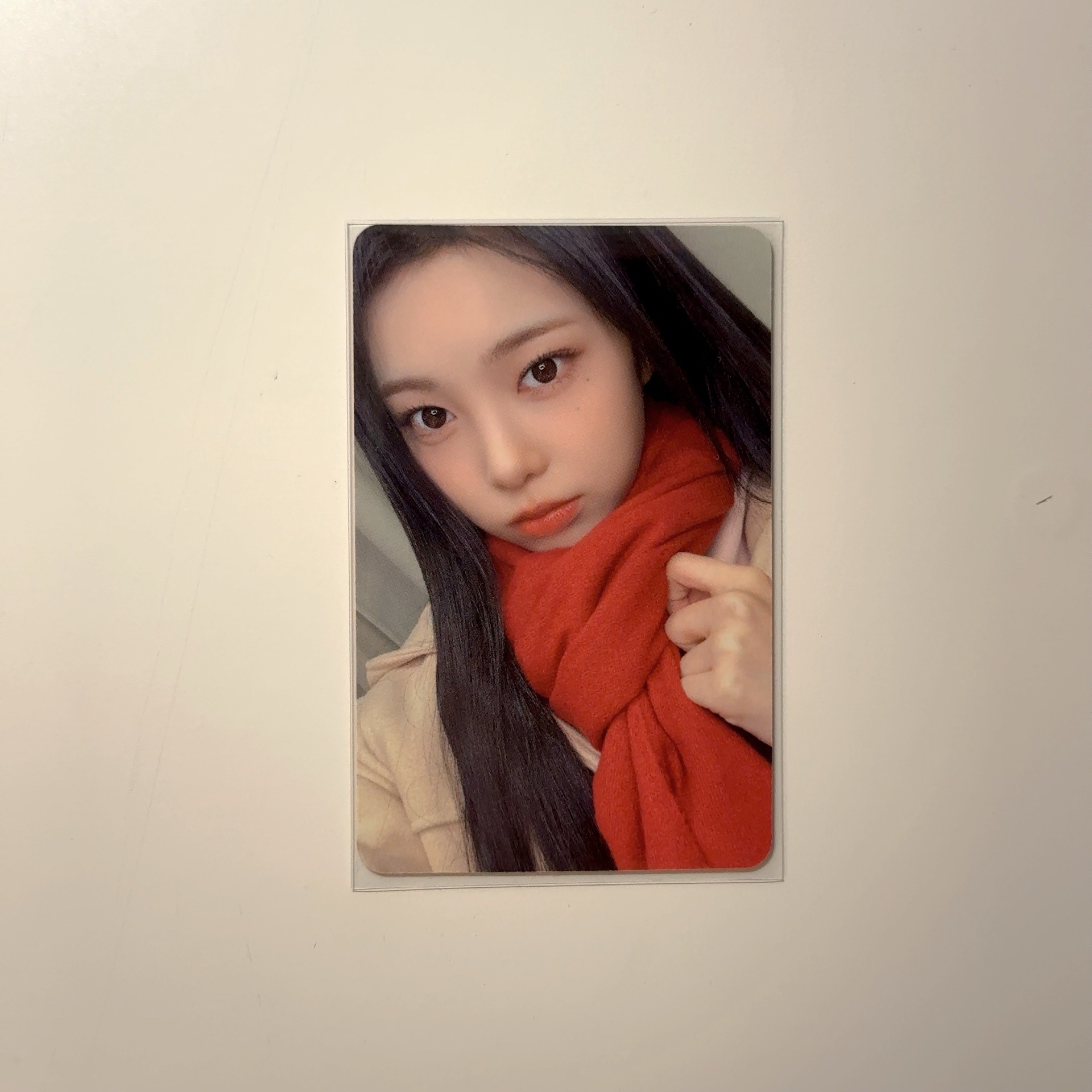 FOCUS AM2.0幸運卡 圍巾以安🧣🤍