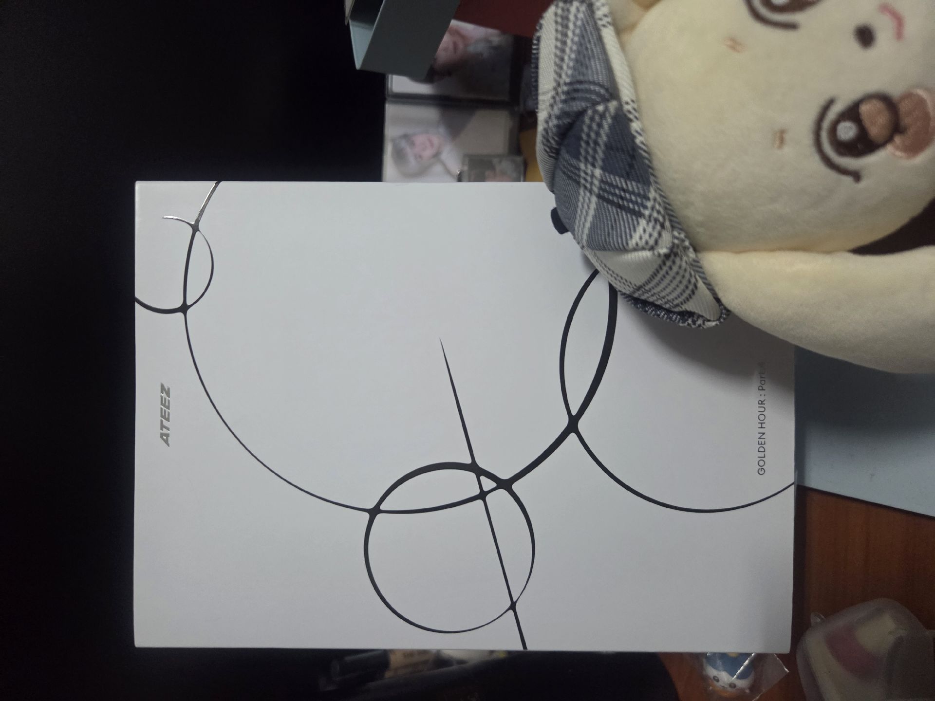 【現貨】GH4 PB Z版 空專 POCA Z版