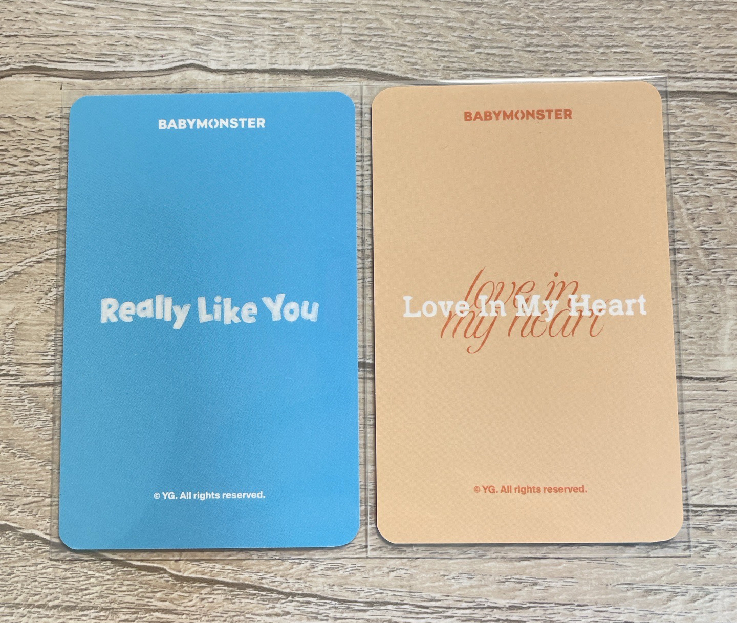 露 25世巡拼圖卡