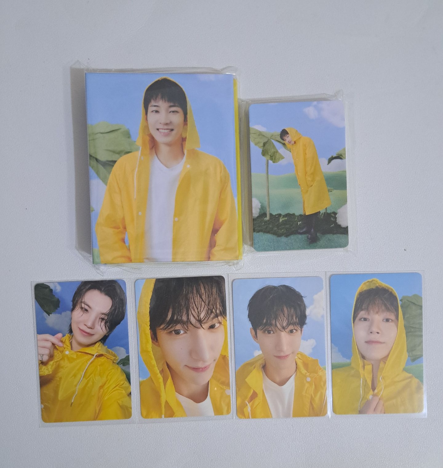 圓 迷11克拉盤全專