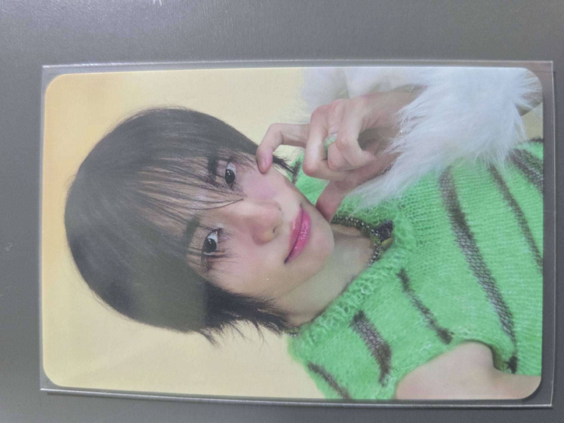 ate 毛絨絨辰🥟