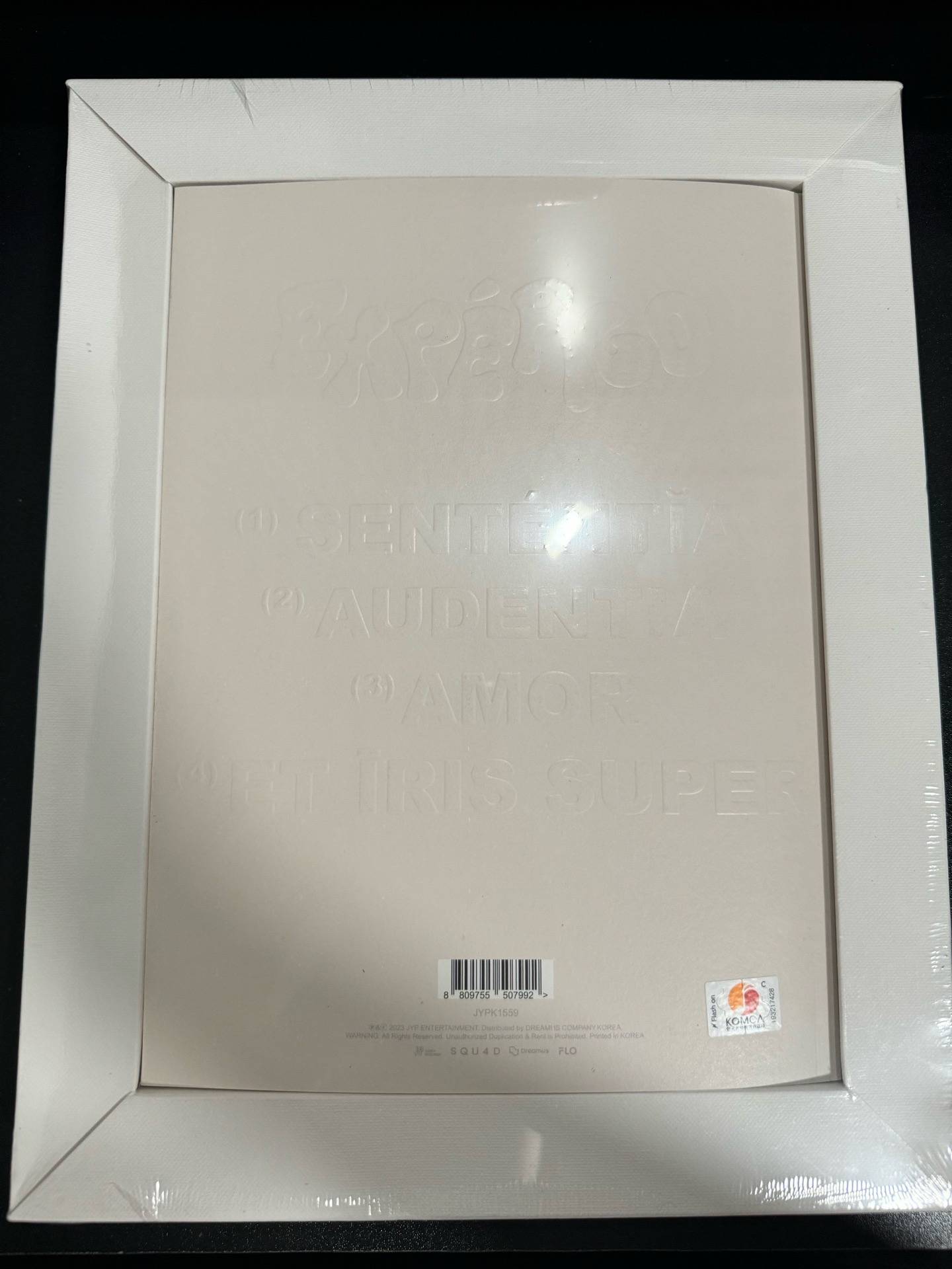 NMIXX 圭真油畫專