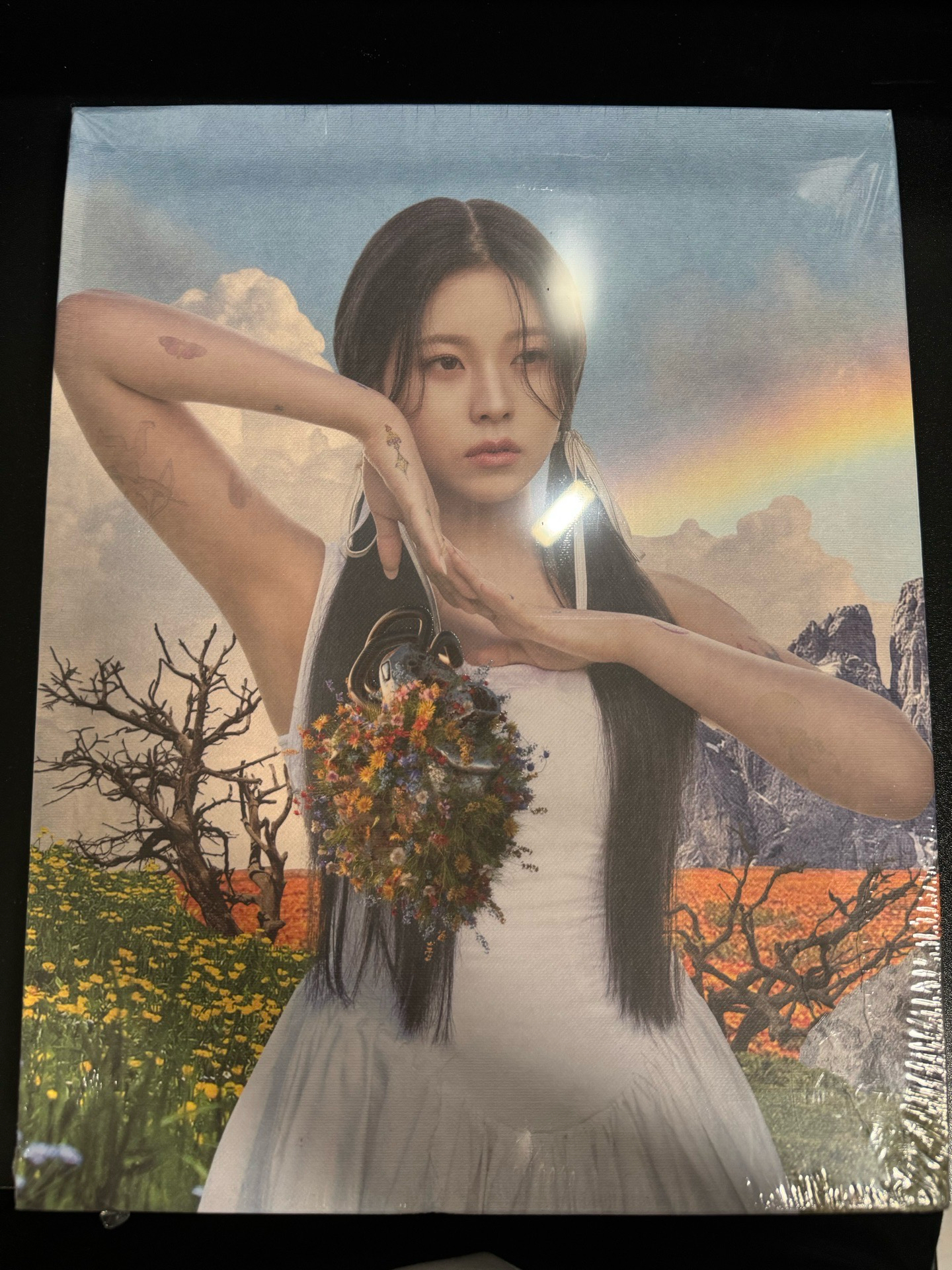 KYUJIN 未拆油畫專