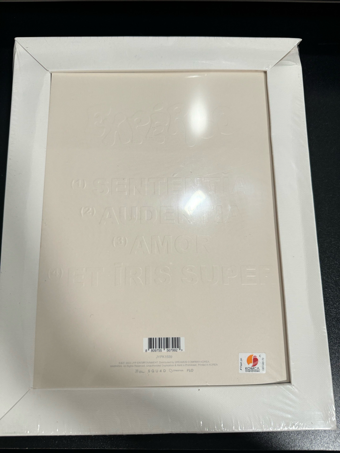 NMIXX 圭真 油畫專