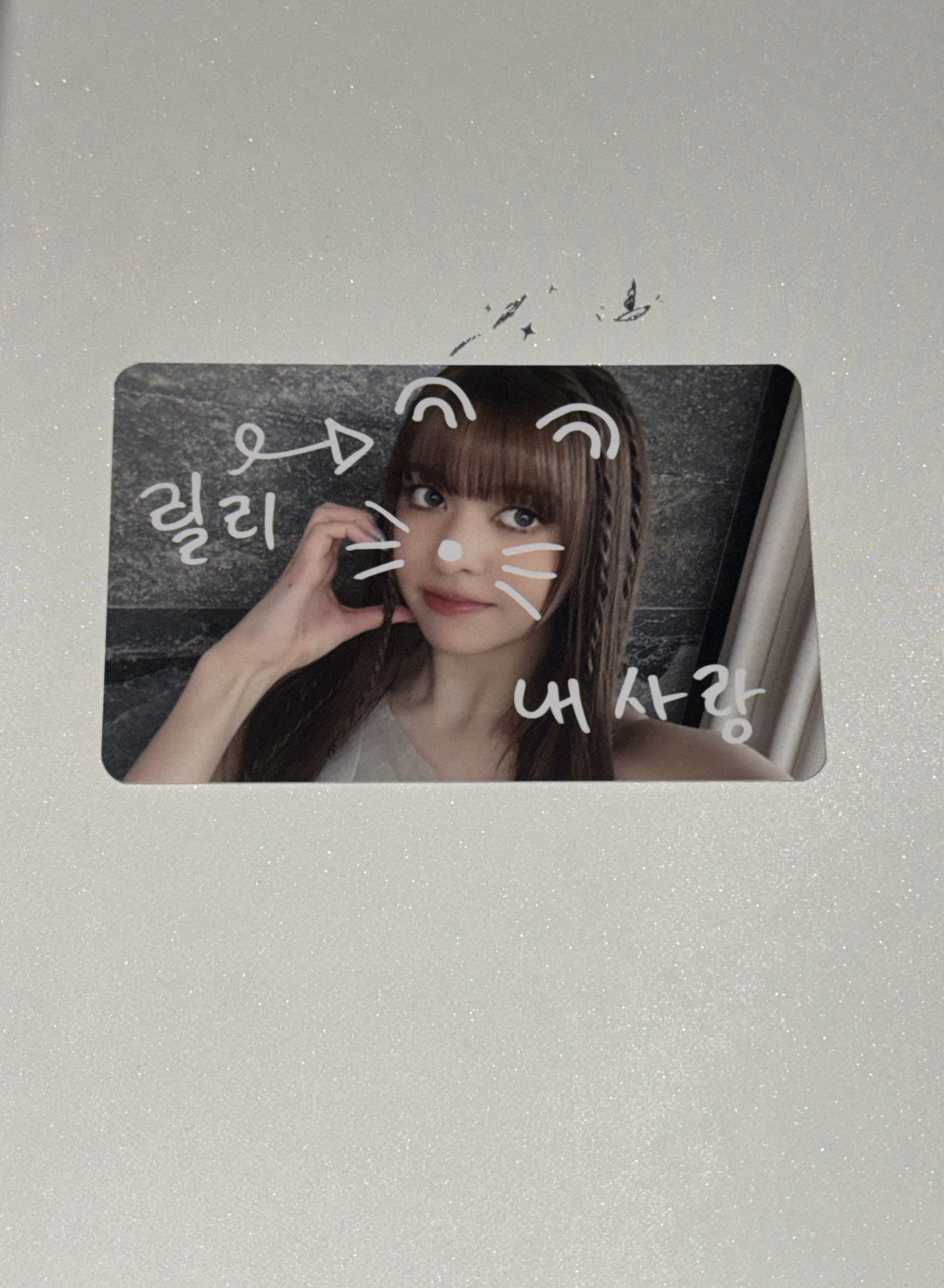 寵物鏡頭 莉 友（不拆）