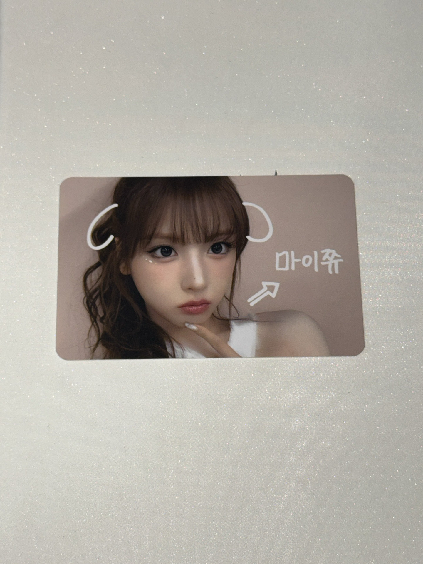 寵物鏡頭 莉 友（不拆）