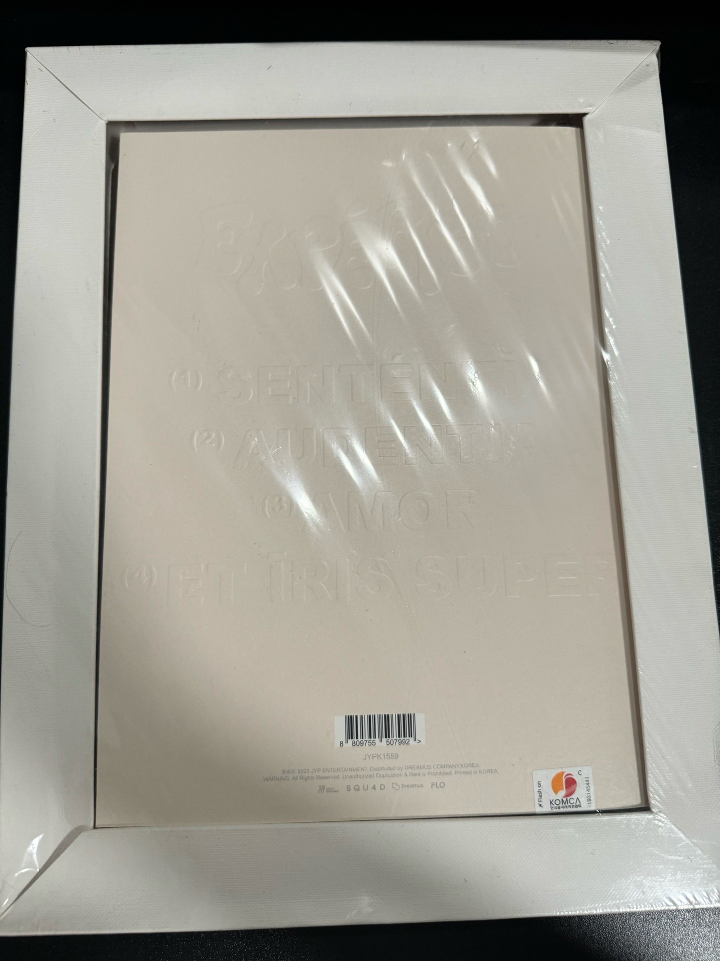 JIWOO 智友 未拆油畫專